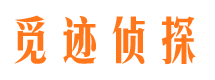 禹会市私家侦探